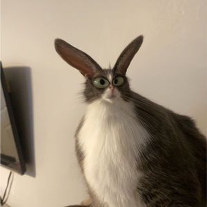 Meet your Posher, Evan